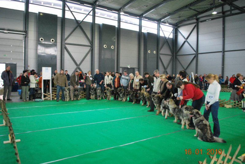 2010 CACIB Ljubljana - foto povečava