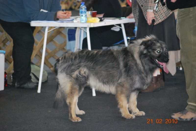 2010 CAC Celje - foto povečava