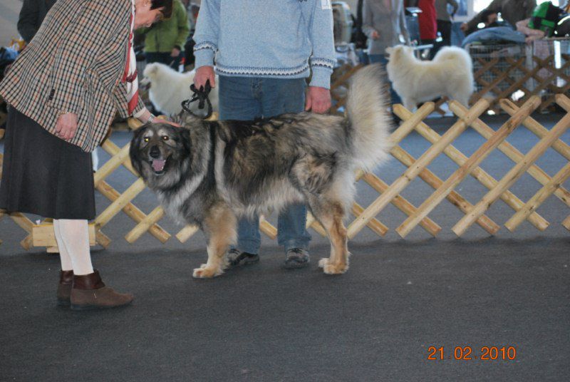 2010 CAC Celje - foto povečava