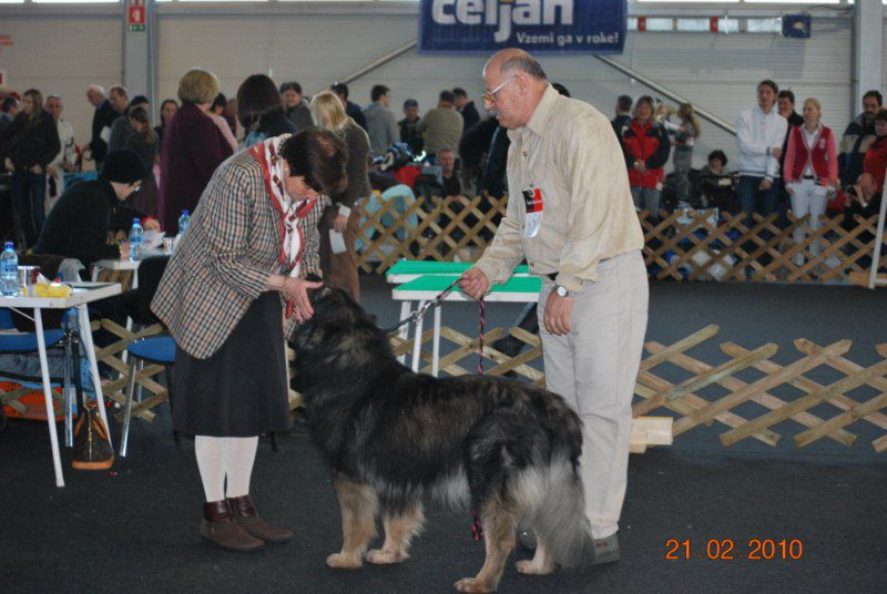 2010 CAC Celje - foto povečava