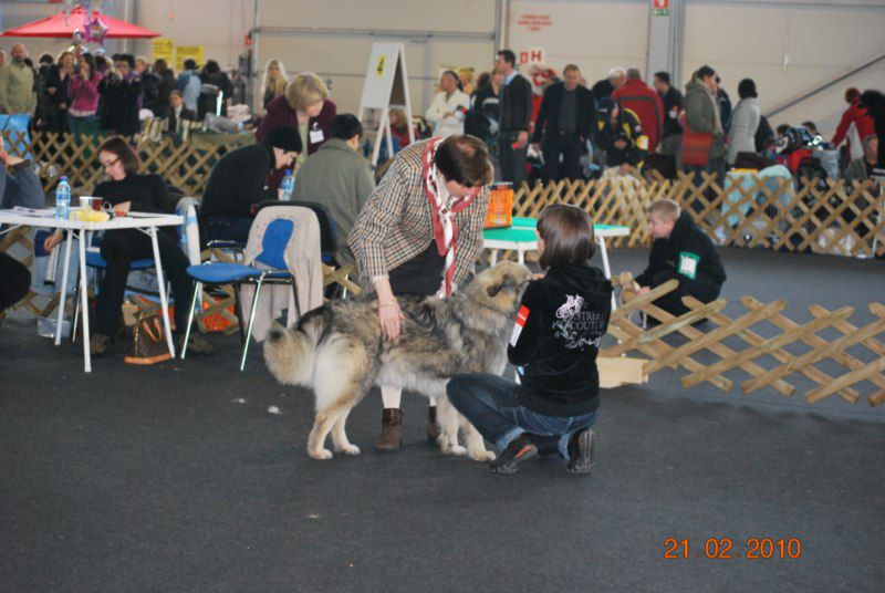 2010 CAC Celje - foto povečava