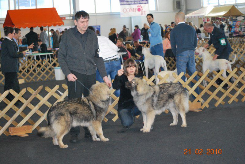 2010 CAC Celje - foto povečava