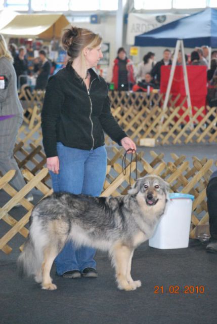 2010 CAC Celje - foto