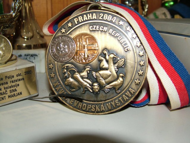 Medalja iz evropske razstave v Pragi