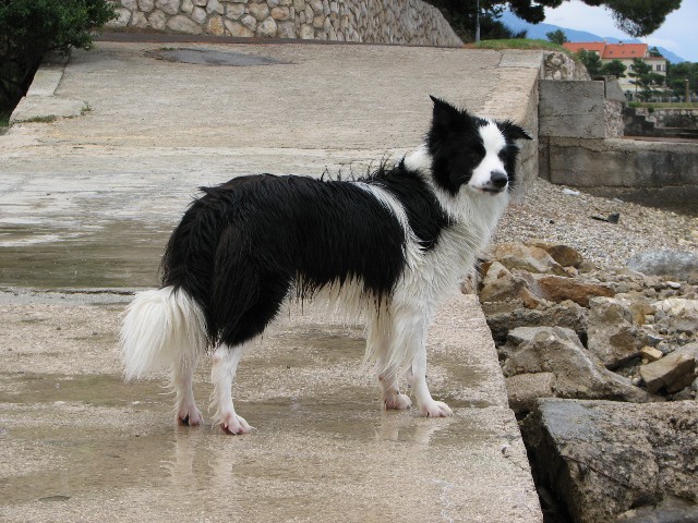 Rab 2008 - slikala Petra Hladnik - foto povečava