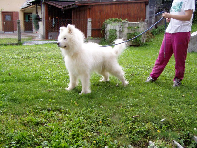Rafi-11 let - foto povečava