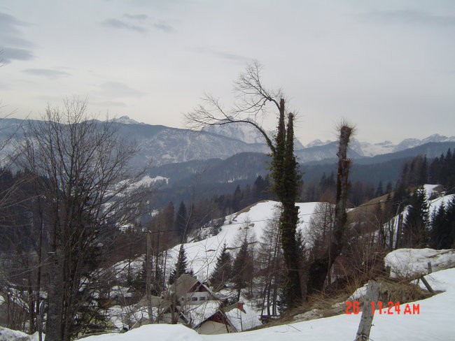 Veni - Planina pod Golico 25. in 26.3.2006 - foto povečava