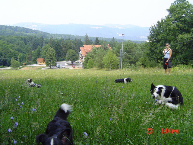 Borderzbor (23.07.2006) - foto