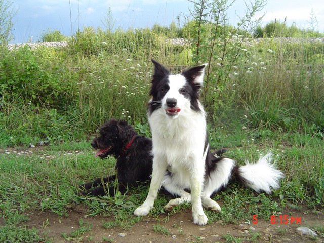 Veni&Ben (05.08.2006) - foto povečava