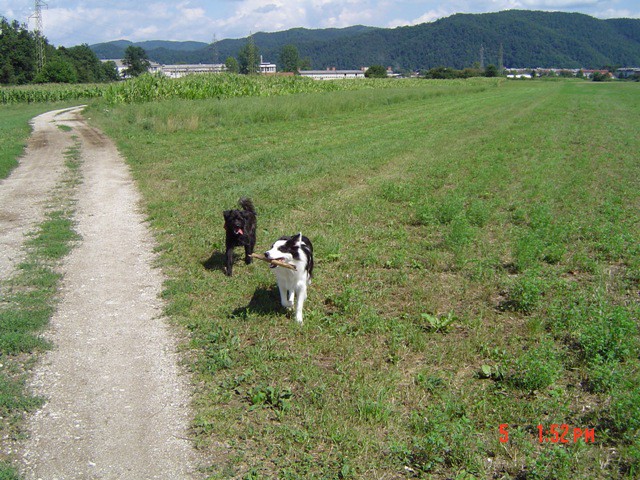 Veni&Ben (05.08.2006) - foto