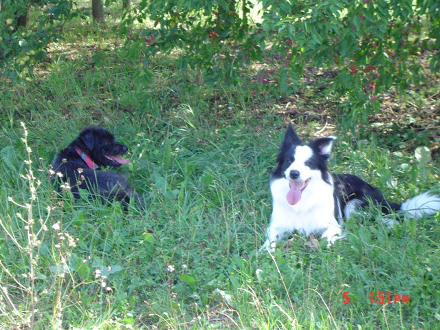Veni&Ben (05.08.2006) - foto povečava