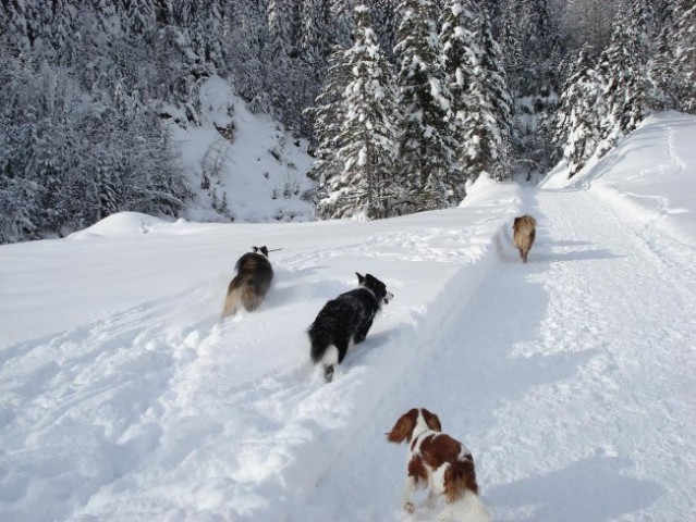 Krnica 27.1.2007 - foto