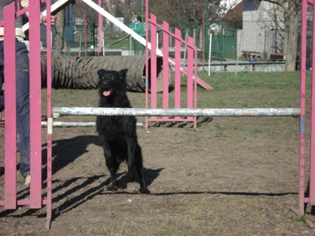 Trening 13.3.2007 - foto povečava