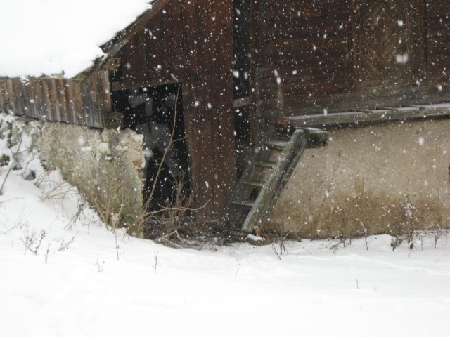Zimski spopad 01.02.2009 - foto