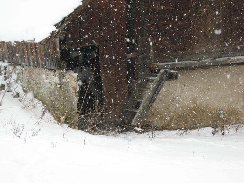 Zimski spopad 01.02.2009 - foto povečava