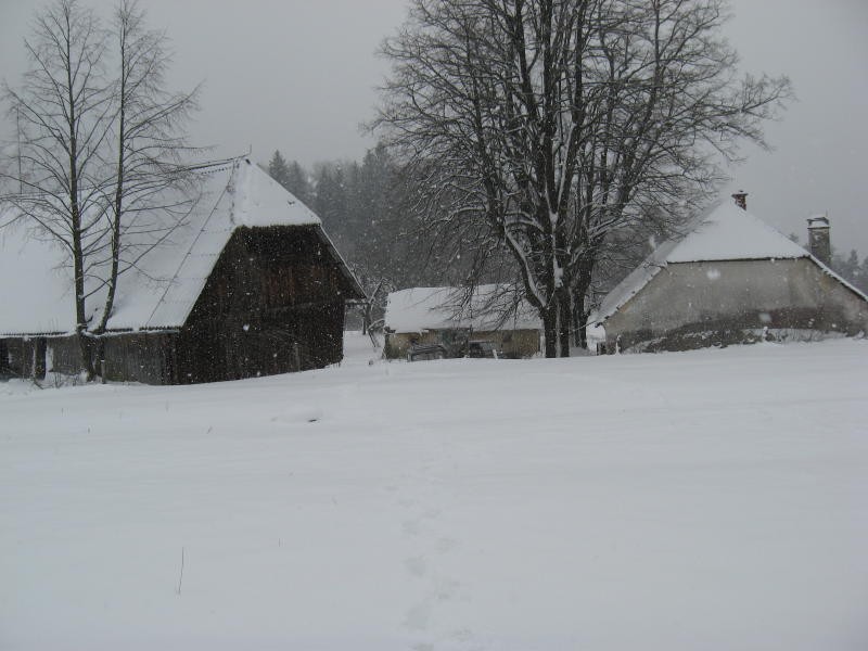 Zimski spopad 01.02.2009 - foto povečava