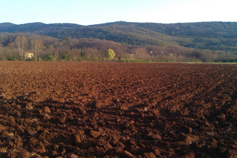 Kmetijska opravila - foto povečava