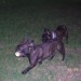 Kuba&Poker