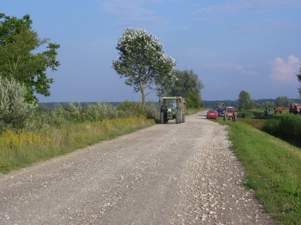 Žetva 2009 - foto povečava