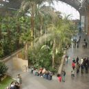 Train station with a pond and a rain forest