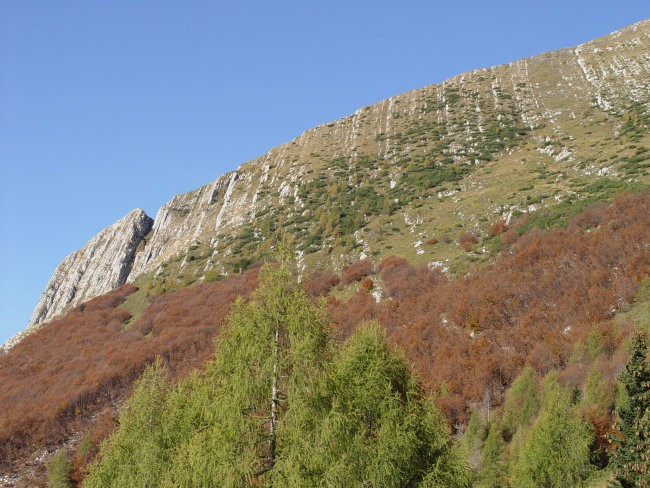 Bajadera