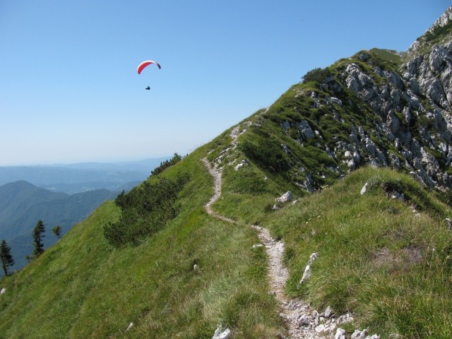 Porezen-Ćrna prst-Rodica-Vogel-Razor planina- - foto