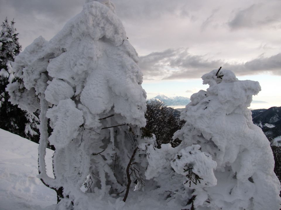 Porezen 2010 - foto povečava