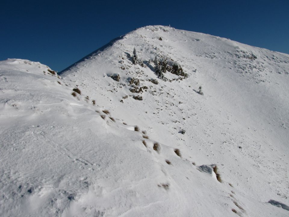 Porezen 2010 - foto povečava