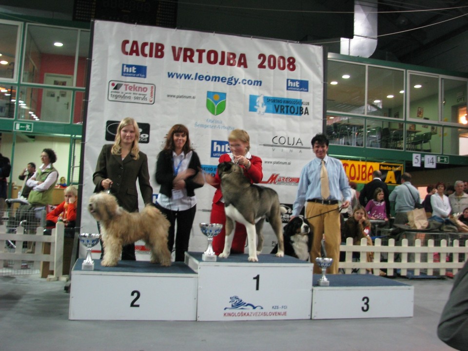 CACIB VRTOJBA 2008-Senior-3.mesto