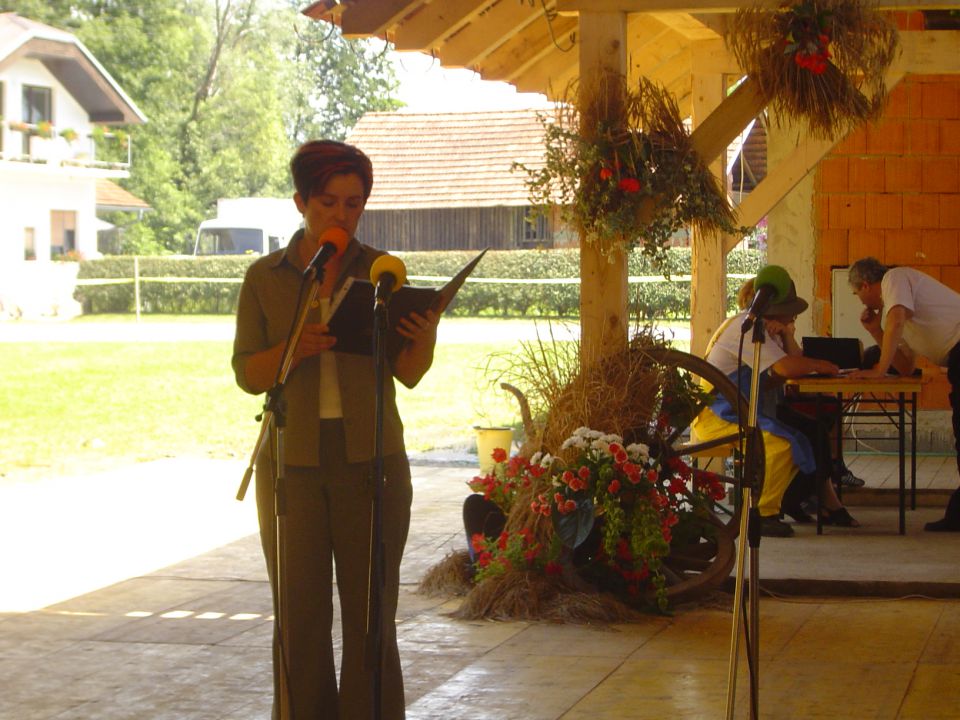 Srečanje Gradišč 2004 - foto povečava