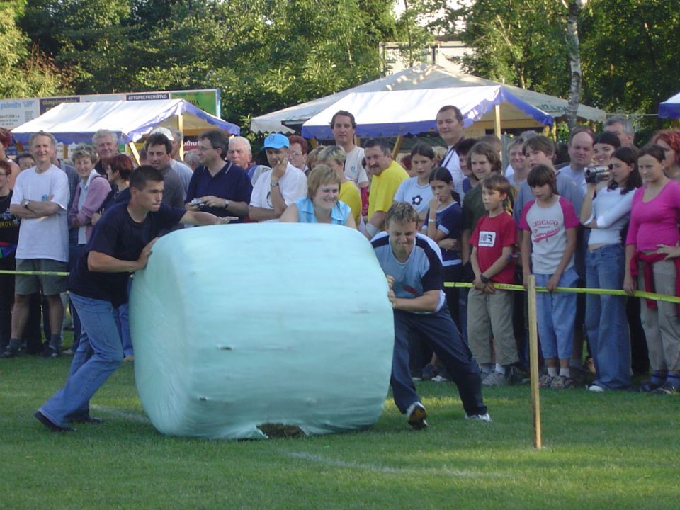 Srečanje Gradišč 2004 - foto povečava