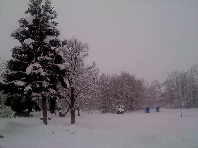 Zimske radosti januar 2013 - foto
