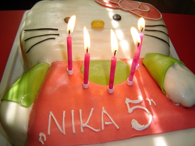Nika-5.rojstni dan-Mozirje - foto
