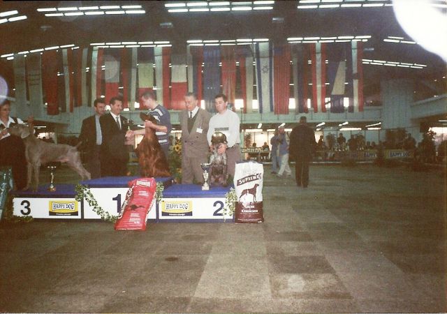 Novi - foto