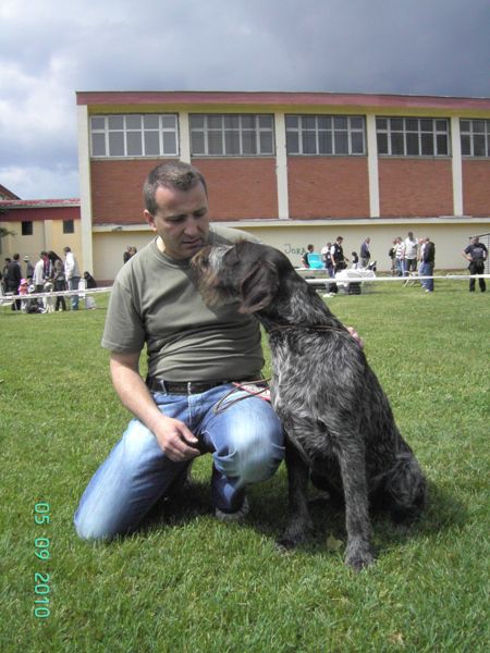 Novi - foto