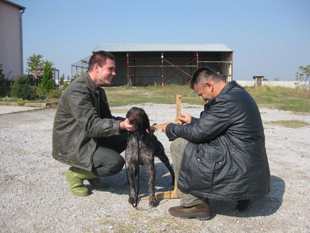 Novi - foto povečava