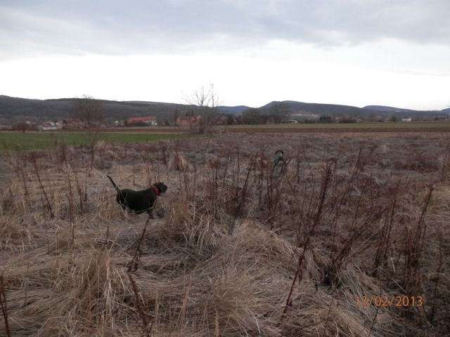 Tri - foto povečava