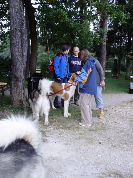 Piknik - foto povečava