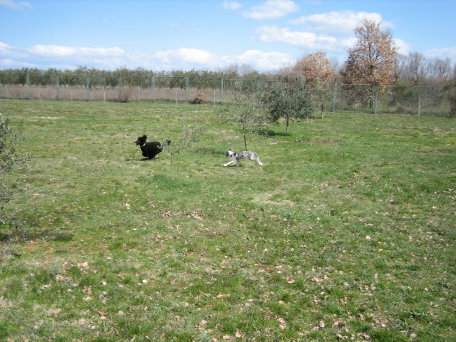 Peggy na morju   - foto