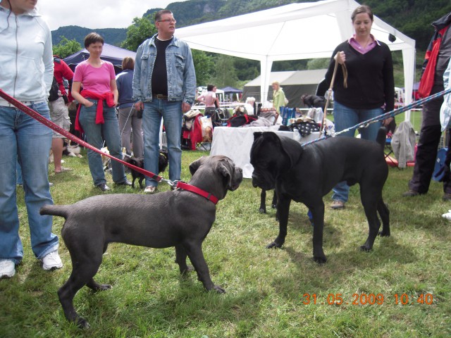 CAC MB 2009