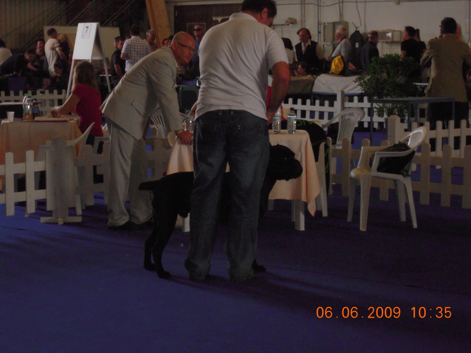 CACIB PORTOROŽ 2009