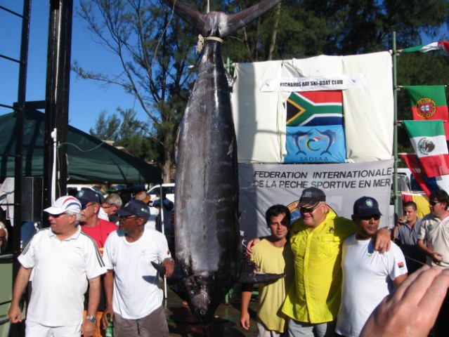 Druga največja ujeta riba na SP, Blue marlin 179,8kg. Ujela ga je ekipa Angola A