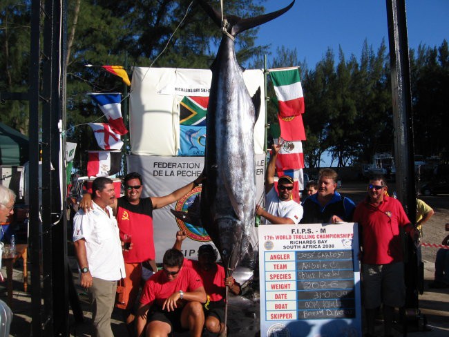 Največja ujeta riba na SP, Blue marlin 208,6kg. Ujela ga je ekipa Angola C