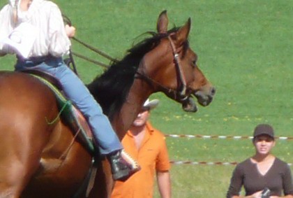 Ajdovščina, 30.09.07