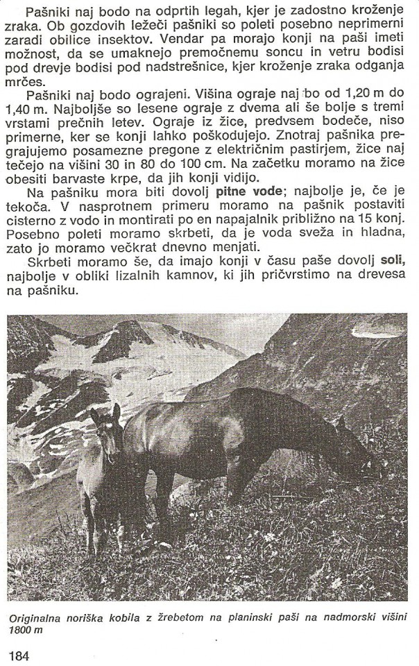 stran 184