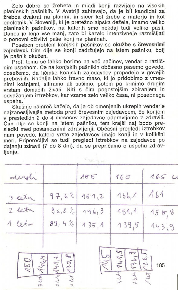 stran 185