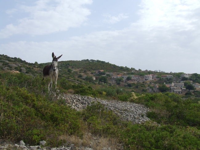 Hrvaška, Vis - Razglednica