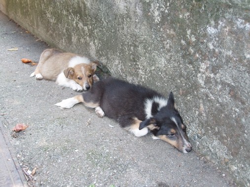 Denia+Dečko