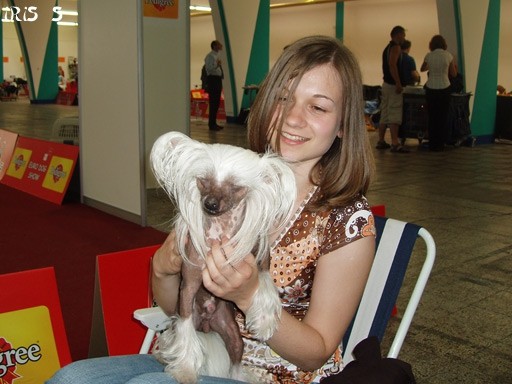 Euro Dog Show Zagreb 8. 6. 2007 - foto povečava