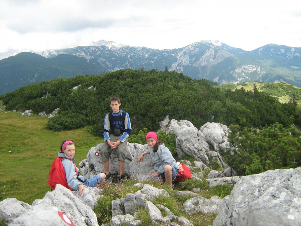 Velika planina 
julij